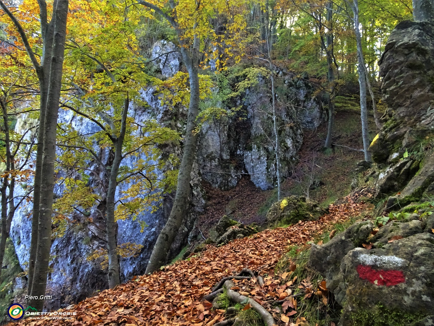 35 Pareti rocciose del Corno dell'arco.JPG